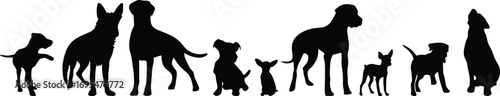 Dog silhouette collection, various breeds, standing pose, pet icon, black vector, animal diversity, canine shape, sitting dog, walking posture, illustration set