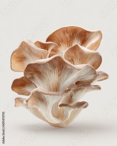 Close-up of multiple delicate, light brown mushrooms