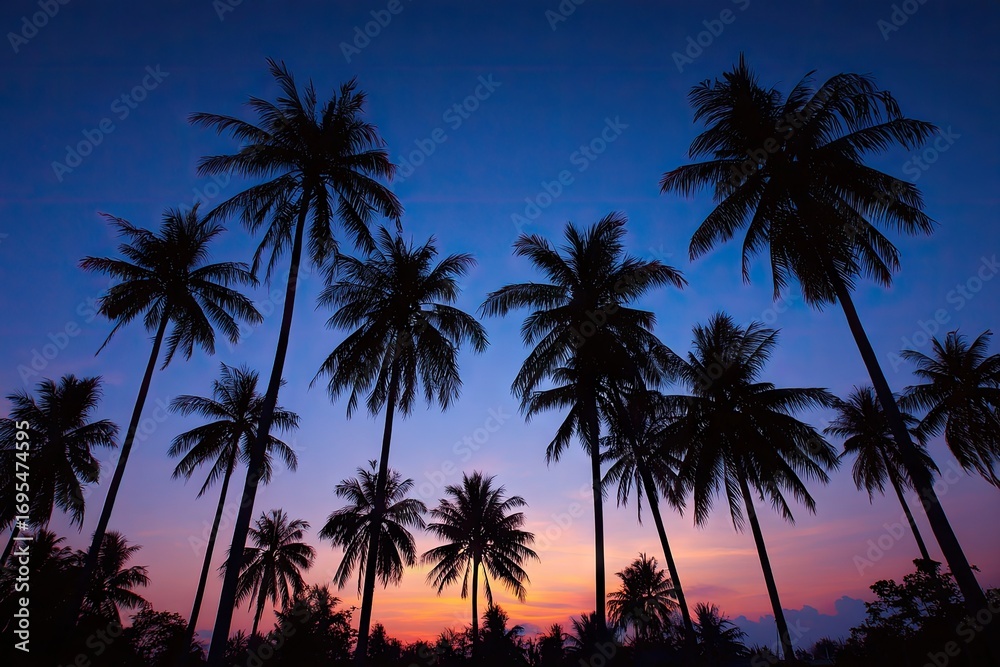 Naklejka premium Silhouetted palm trees at sunset (7)