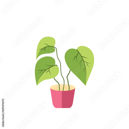 Decorative house plants with pot isolated. interior plant vector, flat icon design Cartoon potted green plants flowers