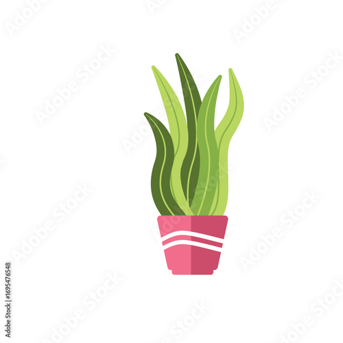 Decorative house plants with pot isolated. interior plant vector, flat icon design Cartoon potted green plants flowers