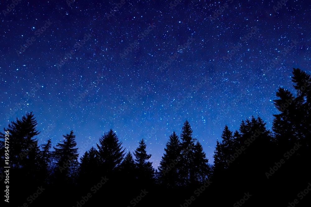 Fototapeta premium Starry night sky over dark trees (6)