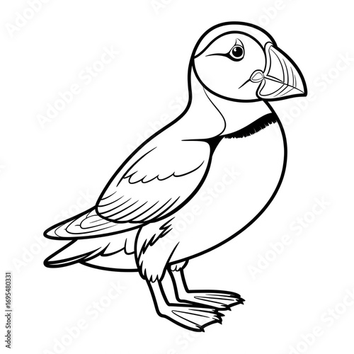 A atlantic puffin illustration vector style coloring page