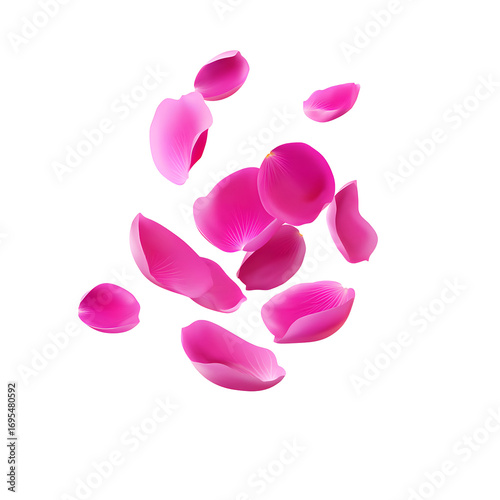 Delicate Beauty: Floating Pink Rose Petals on a Black Background, capturing ethereal grace
