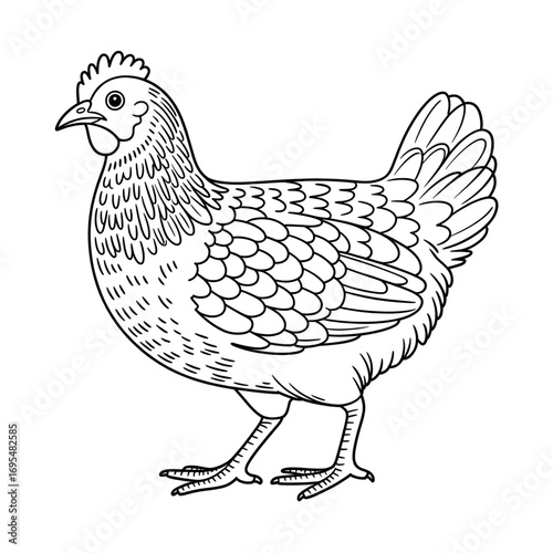 A hen illustration vector style coloring page 