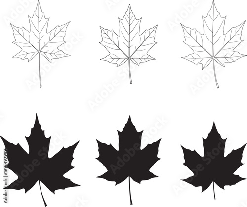 Maple Leaf Line Art and Silhouette Set for Autumnal Designs and Crafts