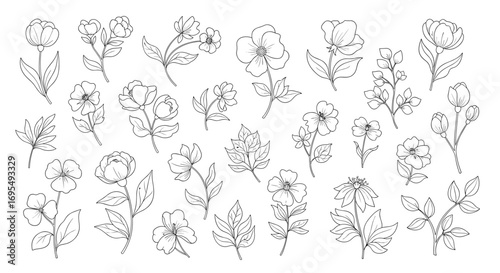 Elegant floral line art set for invitations or creative projects with a modern botanical feel