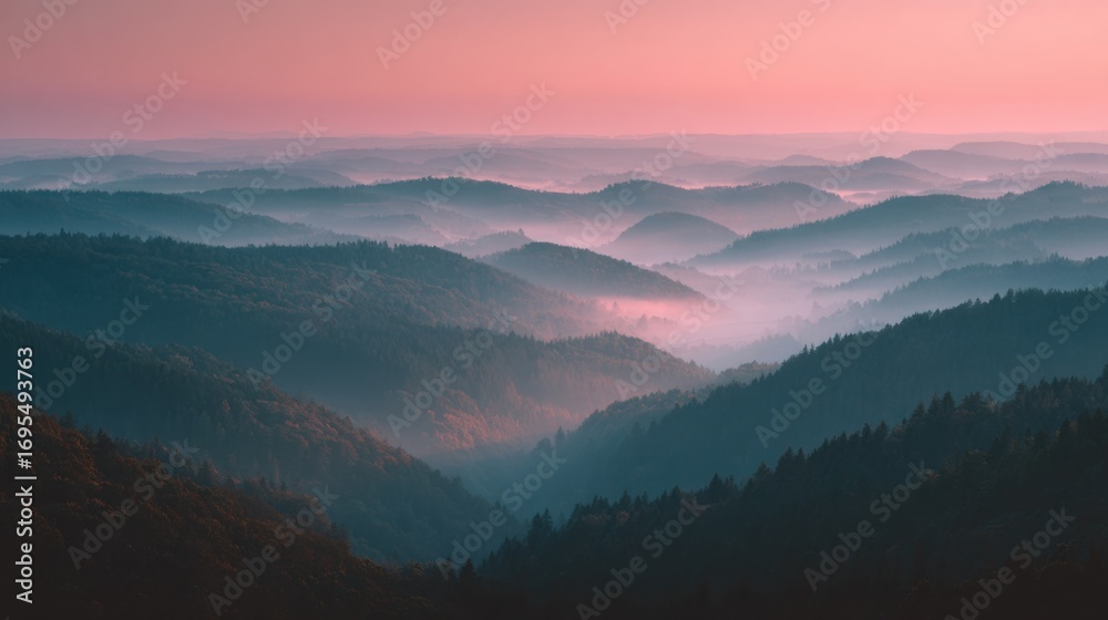 Naklejka premium The Layered Fog Over Forest Hills at Dawn