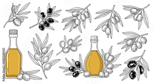 Elegant olive oil bottles with sketched branches for Mediterranean cooking and healthy lifestyle inspiration