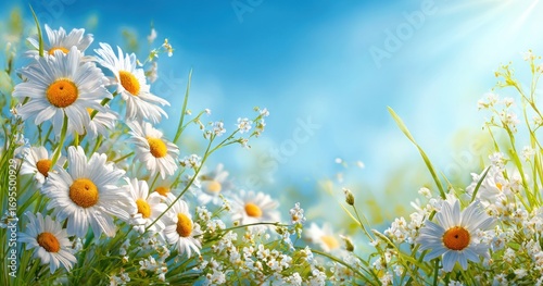 Fresh daisies in vibrant greens with soft, airy blues and a sunny glow. Perfect for conveying peaceful, positive, spring vibes