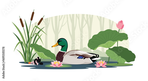 Mallard duck swimming peacefully amongst lotus blossoms in a serene pond, illustrated nature art