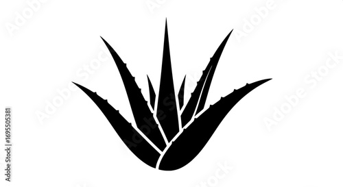 Stylized black silhouette of an aloe vera plant, showcasing its distinctive spiky leaves, a symbol of natural health, skincare, and wellness concepts