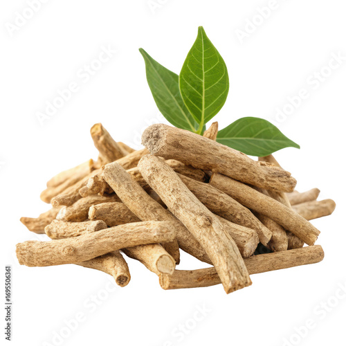 Pile of dried ashwagandha roots paired with a small heap of ground powder, Ayurvedic herb isolated on white background. PNG