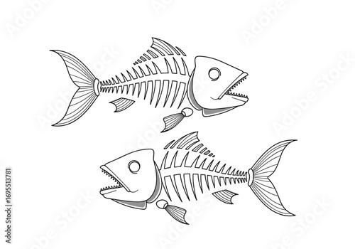Illustration of two skeletal fish facing opposite directions showing their bony structures