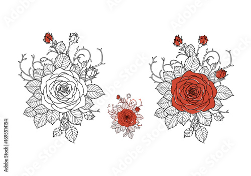 Intricate line art botanical illustration of blooming roses with delicate thorny vines and buds