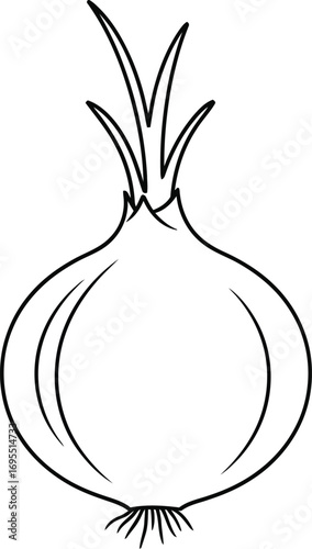 Simple line drawing of an onion with roots and sprouts on a white background