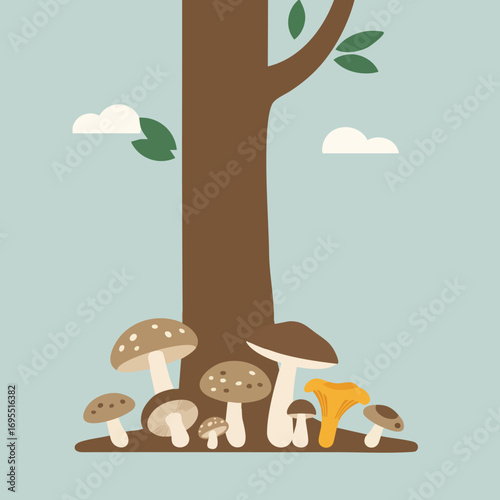 A flat design illustration of various wild mushrooms growing at the base of a tree trunk.