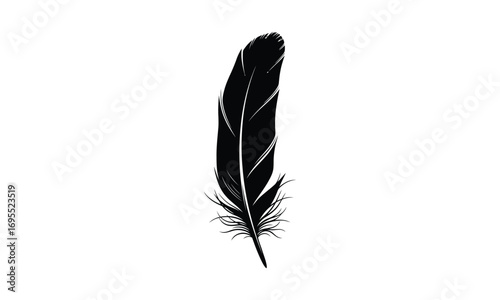Black feather with detailed barbs and rachis on a white background.