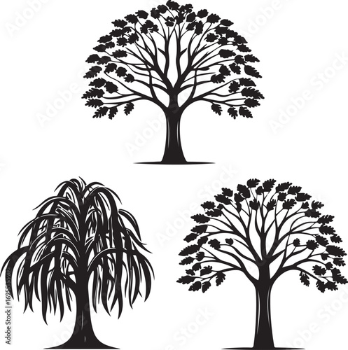 Tree Silhouettes Oak, Willow, Elm