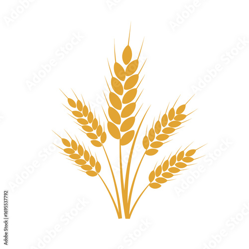 rice plants