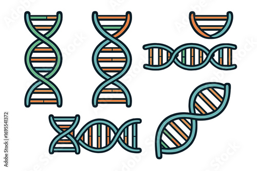 DNA helix patterns representing genetic information in simple abstract design, vector cartoon illustration with transparent background, ordered set of colorful DNA strands