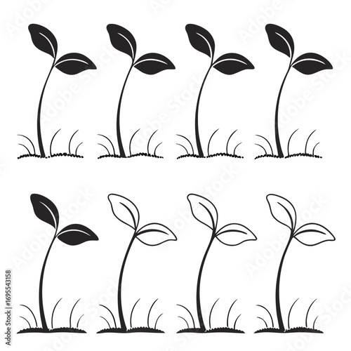 Growth stages of seedlings in silhouette