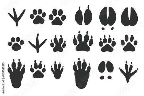 Various animal tracks and paw prints collection. Vector cartoon illustration of bird tracks, dog paws, deer hooves, bear paws, cat prints, and wildlife footprints on white background for education