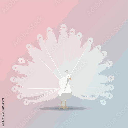 A graceful white peacock displays its stunning plumage against a soft, ethereal background, embodying elegance and beauty. Flat design vector art.