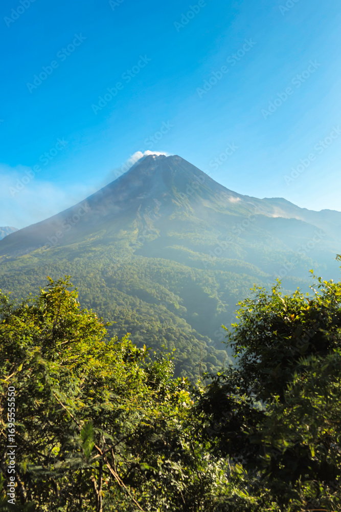 Fototapeta premium A view of Mount Merapi in the morning with a lush forest in the foreground. The panoramic beauty of Mount Merapi on a clear morning is clearly visible from a distance.
