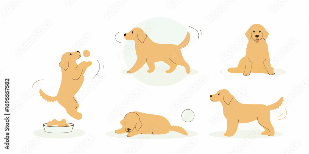 Fototapeta premium Collection of cute golden retriever dogs in various playful poses and activities