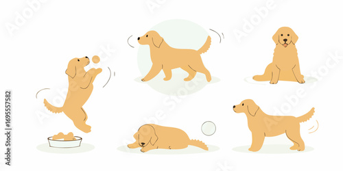 Collection of cute golden retriever dogs in various playful poses and activities