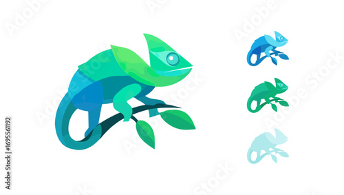 Colorful chameleon design variations
