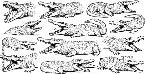 Crocodile Icons Vector Collection – Reptile Silhouette and Graphic Symbols Isolated on White Background