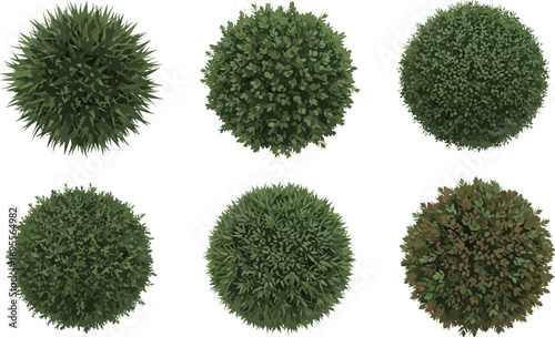 Top view set of realistic green bushes, round shrubs, dense foliage plants, garden landscaping elements, natural eco illustration, decorative vector design.