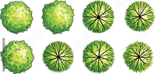 Top view collection of green bushes, round shrubs, landscape plants, foliage illustration, garden elements, nature design, decorative eco friendly vector.