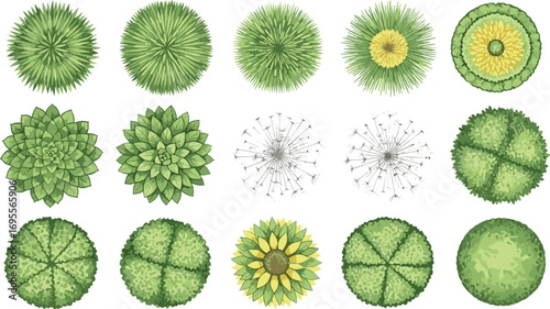 Top view collection of decorative green plants, garden shrubs, landscape bushes, tropical leaves, floral patterns, natural foliage illustration design elements.