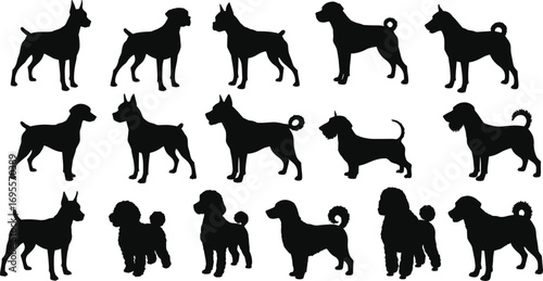 Collection of various dog breed silhouettes in standing poses, black vector illustration of domestic pets for design, artwork, posters and decoration