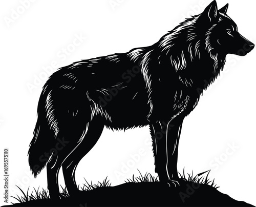 Standing wolf silhouette illustration, wild animal vector design with detailed fur texture, majestic predator artwork for tattoo, logo, decoration