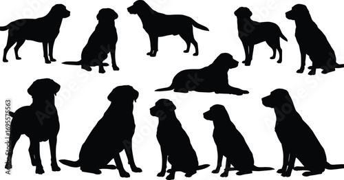 Dog silhouettes set, multiple pet poses vector illustration, sitting standing lying down domestic animal artwork for design, decoration, logo