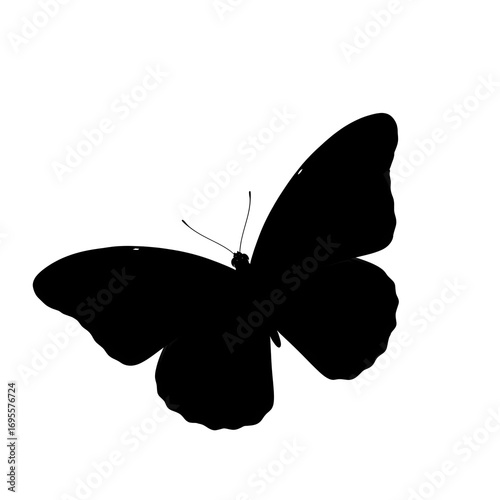 Elegant Butterfly Silhouette, a Timeless Symbol of Transformation and Beauty, Captured in a Striking Black Siluet