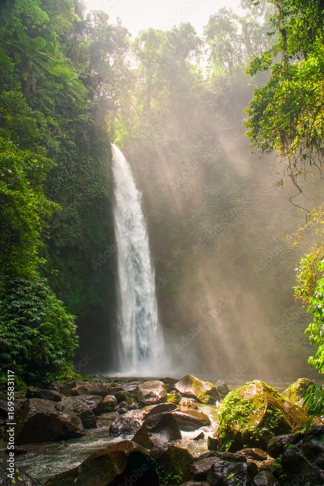 Obraz premium waterfall in the forest