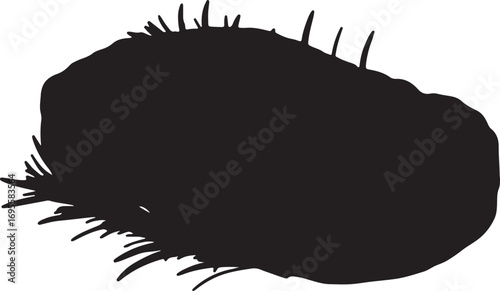 Abstract black silhouette of a Sea Urchin against a white background perfect for marine biology scientific illustrations and oceanographic studies showcasing echinoderm diversity and coastal ecology