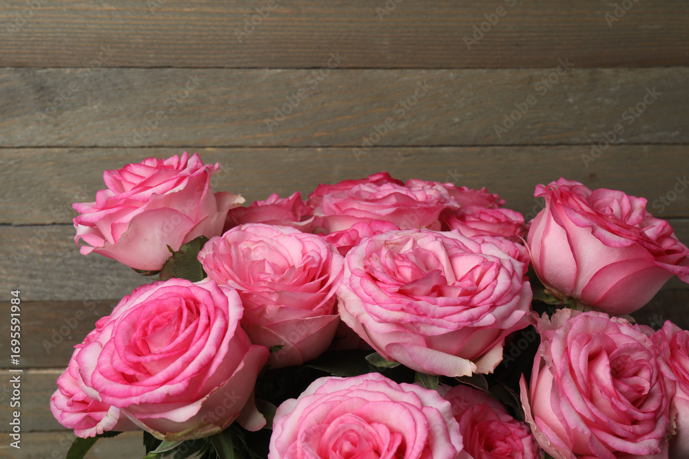Fototapeta premium pink rose on a wooden background 