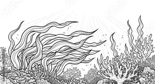 Detailed line drawing of a coral reef ecosystem with seaweed and sunlight beams