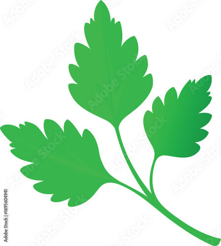 Fresh Green Herb Leaves Growing Naturally in the Garden