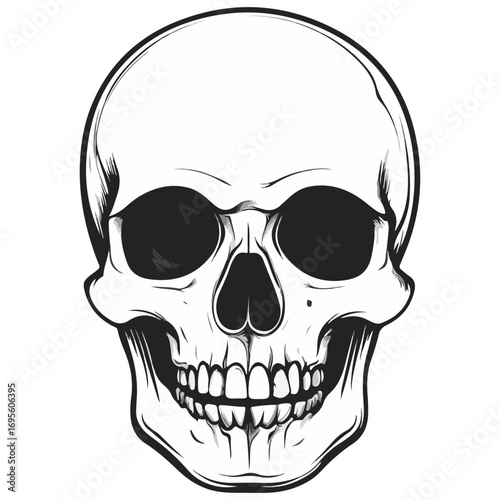 skull, halloween, festival, vector, transparent background, head, skeleton, death, dead, anatomy, horror, evil, scary, bones, danger, tattoo, mask