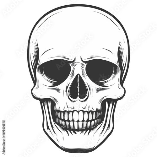 skull, halloween, festival, vector, transparent background, head, skeleton, death, dead, anatomy, horror, evil, scary, bones, danger, tattoo, mask
