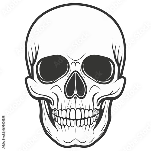 skull, halloween, festival, vector, transparent background, head, skeleton, death, dead, anatomy, horror, evil, scary, bones, danger, tattoo, mask