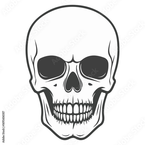 skull, halloween, festival, vector, transparent background, head, skeleton, death, dead, anatomy, horror, evil, scary, bones, danger, tattoo, mask