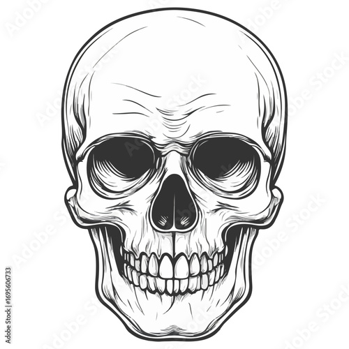 skull, halloween, festival, vector, transparent background, head, skeleton, death, dead, anatomy, horror, evil, scary, bones, danger, tattoo, mask